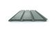 BARD NC71 ZAM RIVERGUM